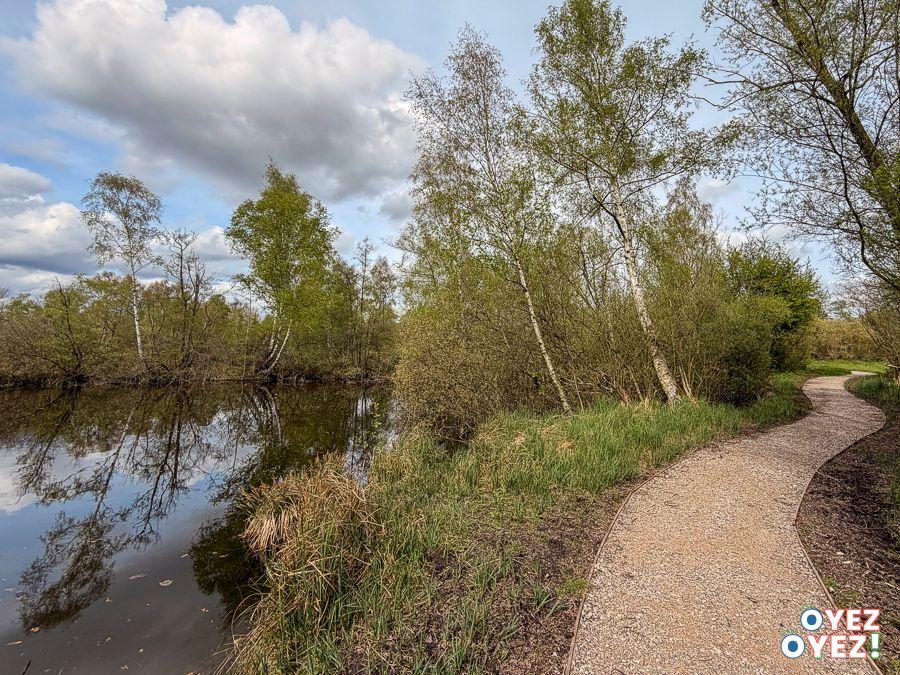 Marais de glisy 009 leandre leber oyez oyez