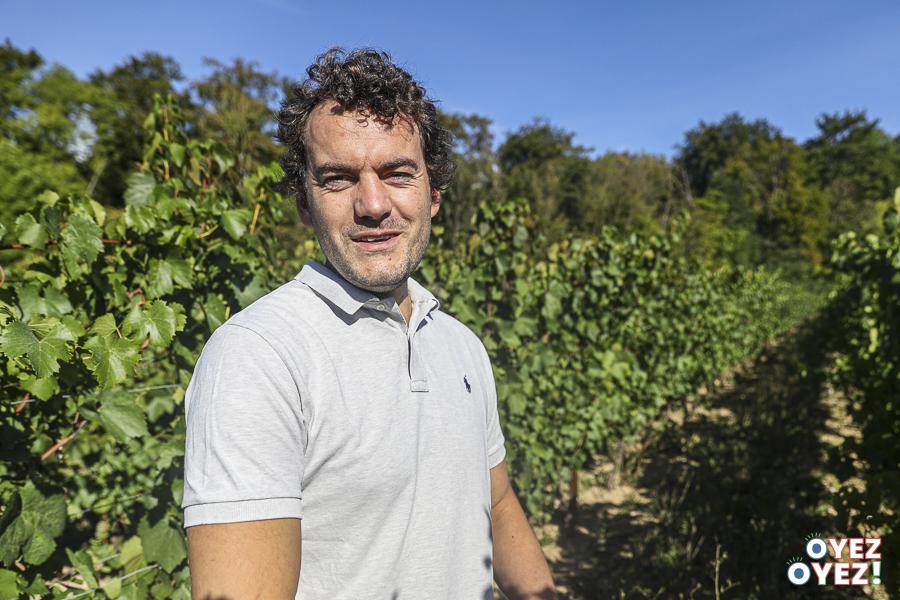 Martin ebersbach vignoble des voeux vendange 2026 leandre leber oyez oyez 04