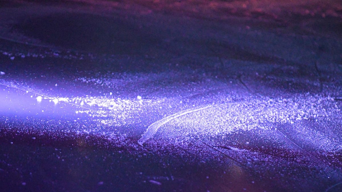 Patinage artistique gala de lequipe de france coliseum kevin devigne gazette sports 54