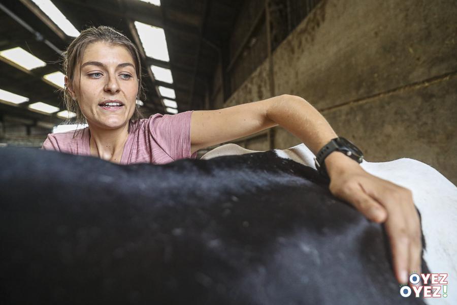 Sarah maupin osteopathe animaliere leandre leber oyez oyez 22