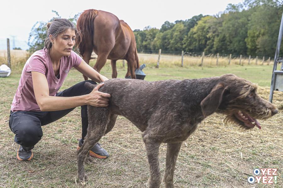 Sarah maupin osteopathe animaliere leandre leber oyez oyez 35